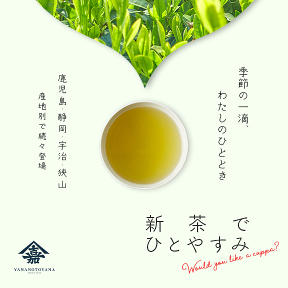 山本山の新茶